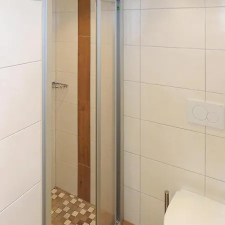 Gemuetliche Apartment Flachau